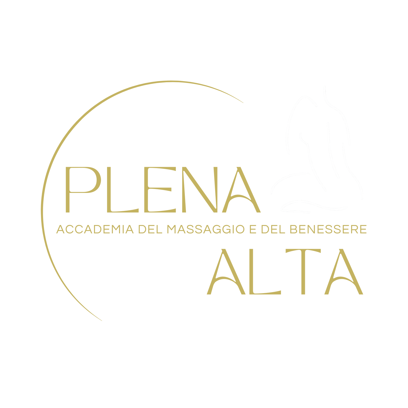 Accademia Plena Alta Logo